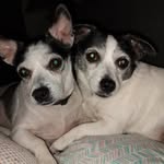 maureen owens - @maureenowens4 - Instagram