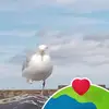 Maureen Owens - @maureen.owens7 - TikTok