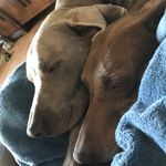 Maureen Owens - @mowens6900 - Instagram