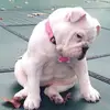 Maureen Pace - @maureen.pace - TikTok