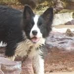 Maureen Pacey - @maureenpacey - Instagram