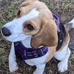 Maureen Page - Facebook