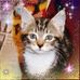 Maureen Parfitt - Facebook
