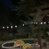 Maureen Parry - @maureen.parry6 - TikTok