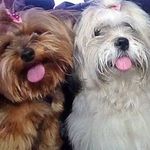 Maureen Pearce - @pearce7398 - Instagram