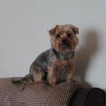 Maureen Pearce - @maureenpearce1953 - Instagram
