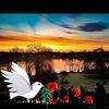 Maureen Pearce - @maureen.pearce7 - TikTok