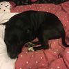 user2995171785336 - @maureenpearce12 - TikTok