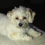 Maureen Miner Pendleton - @pfomoe - Instagram