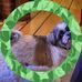 Maureen Perkins - Facebook