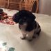 Maureen Peyton - Facebook