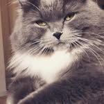 Maureen Pickering - @moz859 - Instagram