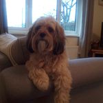Maureen Pierce - @maureen.pierce.311 - Instagram