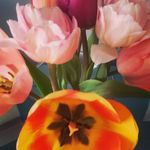 maureen pierce - @piercemaureen - Instagram