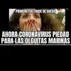 Maureen Pinto Cancino - @maureenpintocanci1 - TikTok