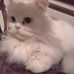 Maureen Plummer - Facebook