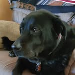 Maureen Plummer - @nanamoe1957 - Instagram