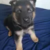 maureenpollock97 - @maureenpollock97 - TikTok