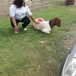 Poppie Maureen - @poppiemaureen - Instagram