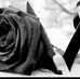 Bosulica Marin - Facebook