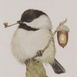 Maureen Pritchard - @maureen.pritchard - Instagram
