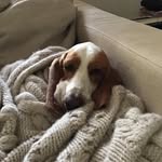 Maureen Pritchard - @maureenpritchard269 - Instagram