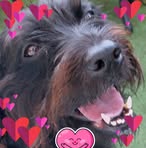 Maureen Pritchard - Facebook