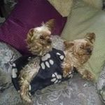 Maureen Pritchard - @maureen.pritchard.982 - Instagram