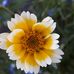Maureen Pyne - Facebook