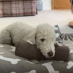 Maureen Ramsden - Facebook