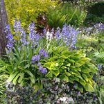 Maureen Raymond - @mojogamma - Instagram
