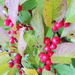 Maureen Read - @maureen.read.37 - Instagram