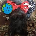 Maureen Reading - @maureen_reading - Instagram