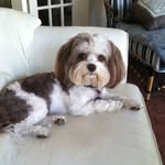 Maureen Reed - @reed.maureen - Instagram