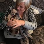 Maureen Reed - @maureensreed1948 - Instagram