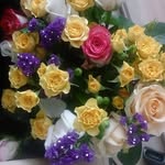 Maureen Reed - @maureen.thompson.3363 - Instagram