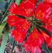 Maureen Reed - Facebook