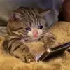 maureenriesdb - @bubbly2000 - TikTok