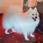 Maureen Ring - @maureen.ring - Instagram