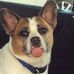 Maureen Ritchie - Facebook
