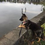 Maureen Ritchie - @maureenritchie55 - Instagram