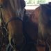 Maureen Rodrigues - Facebook