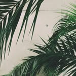 Maureen Rohan - @maureen.rohaan - Instagram
