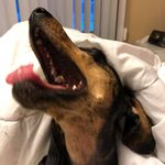 Maureen Jarvis Rosen - @mauvellous - Instagram