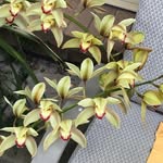 Maureen Rothe - @maureen.rothe - Instagram