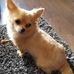 Maureen Rouse - Facebook
