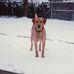 Maureen Rouse - Facebook