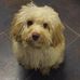 Maureen Rowley - Facebook