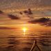 Maureen Rowley - Facebook