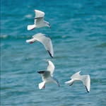 Maureen Rucker - @dolphinfly16 - Instagram